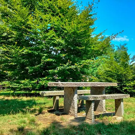 Ex Convitto - * Verbania